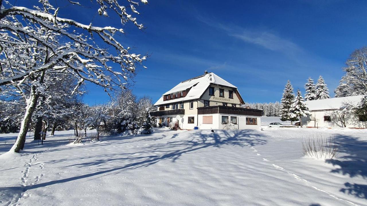 Apartament Haus Schonblick Kniebis Zewnętrze zdjęcie