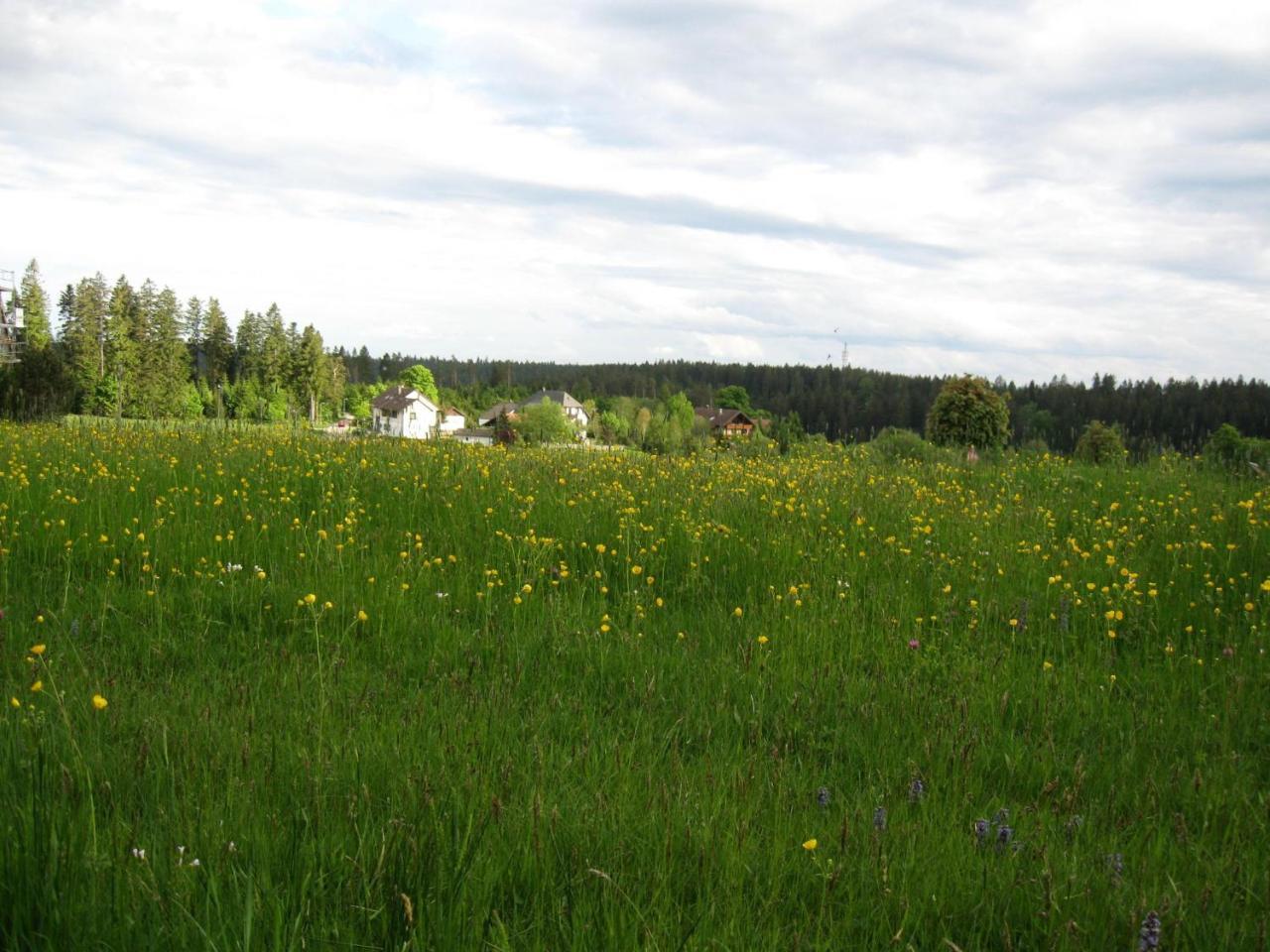 Apartament Haus Schonblick Kniebis Zewnętrze zdjęcie